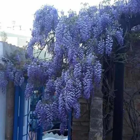 Casa Marquesa Сasa de vacaciones *